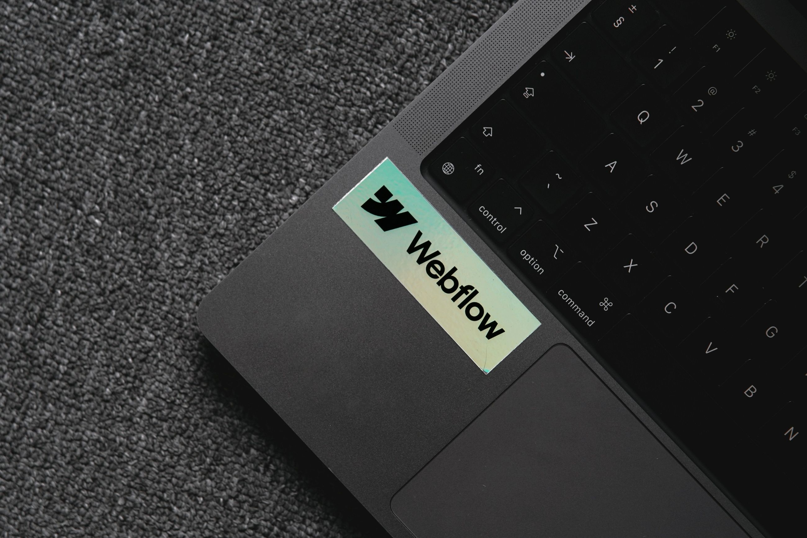 Webflow Development Reuter Digital Solutions